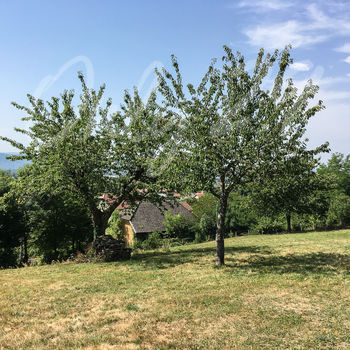 Terrain viabilisé (Lot B) : Colombe