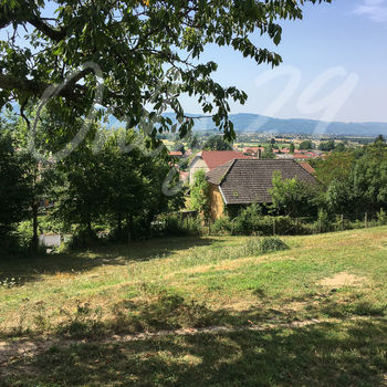 Terrain viabilisé (Lot B) : Colombe