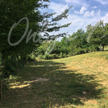 Terrain viabilisé (Lot B) : Colombe