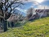 Immobilier sur L'Albenc : Maison, villa de 8 pieces
